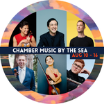 CMS 2025 10th Anniversary Festival - logo